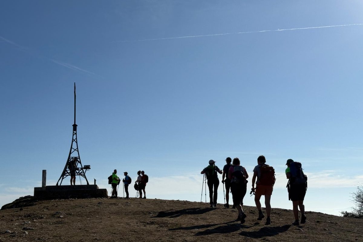 44680f80-00ce-4595-b362-8aad698e0ae2