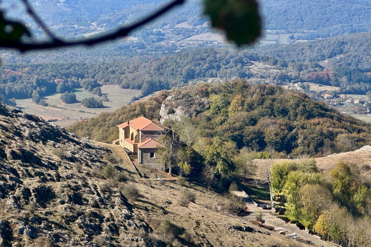 5d002b9b-5029-4240-98ee-869a528275ee