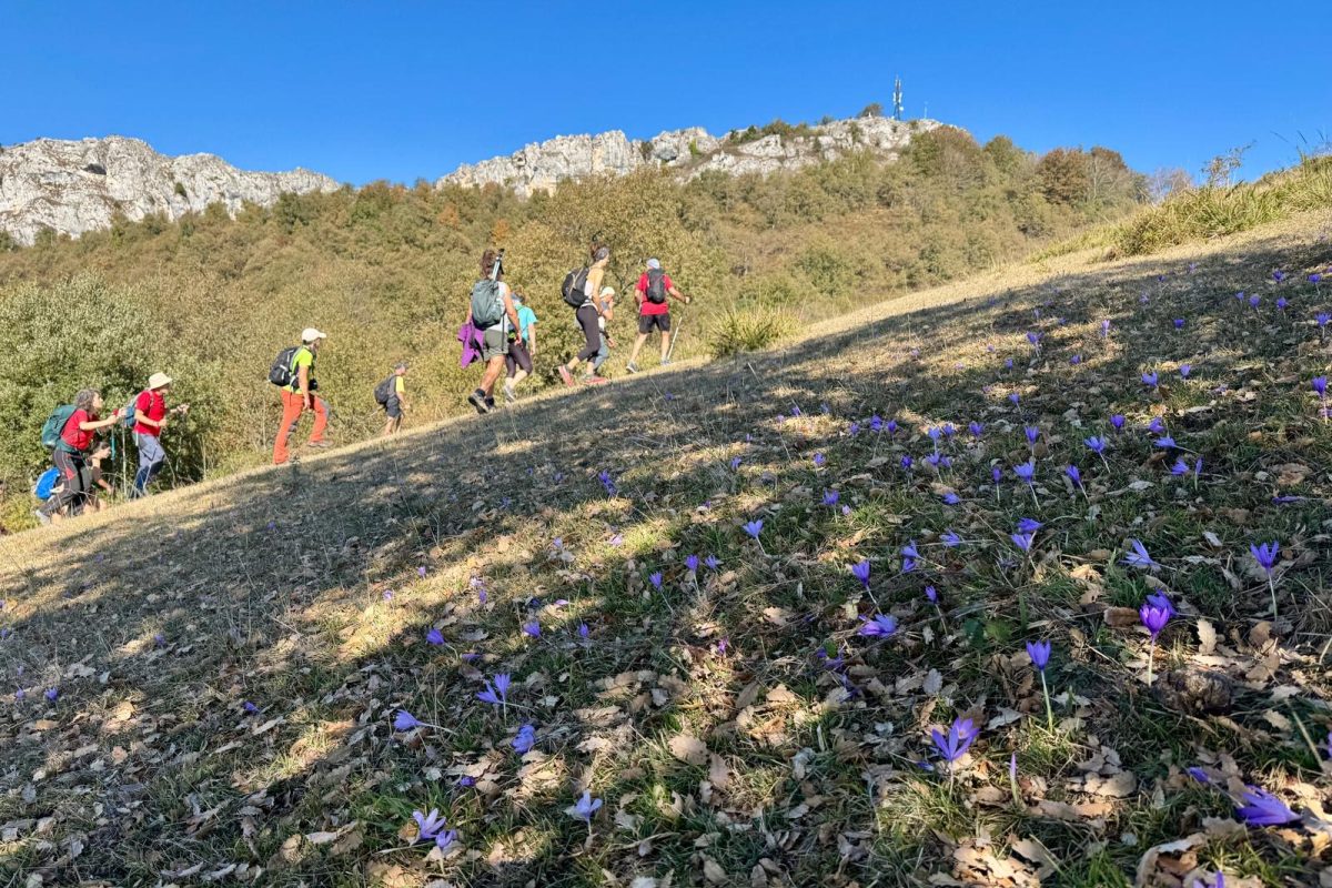 7b714641-ec77-47f6-b2aa-d469d97c7a13