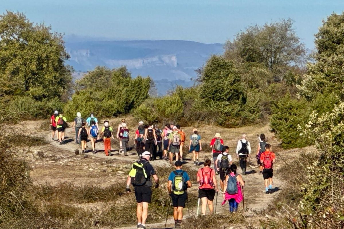 994bf0a5-2e96-4245-848b-929465b62b39