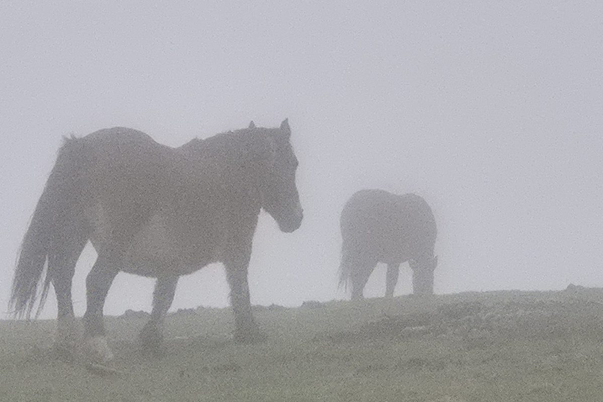 PHOTO-2025-12-21-13-49-21