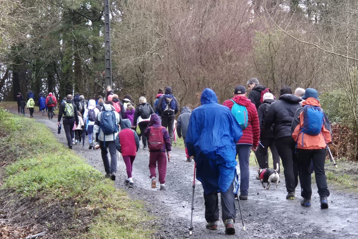 PHOTO-2026-02-08-13-54-03(2)