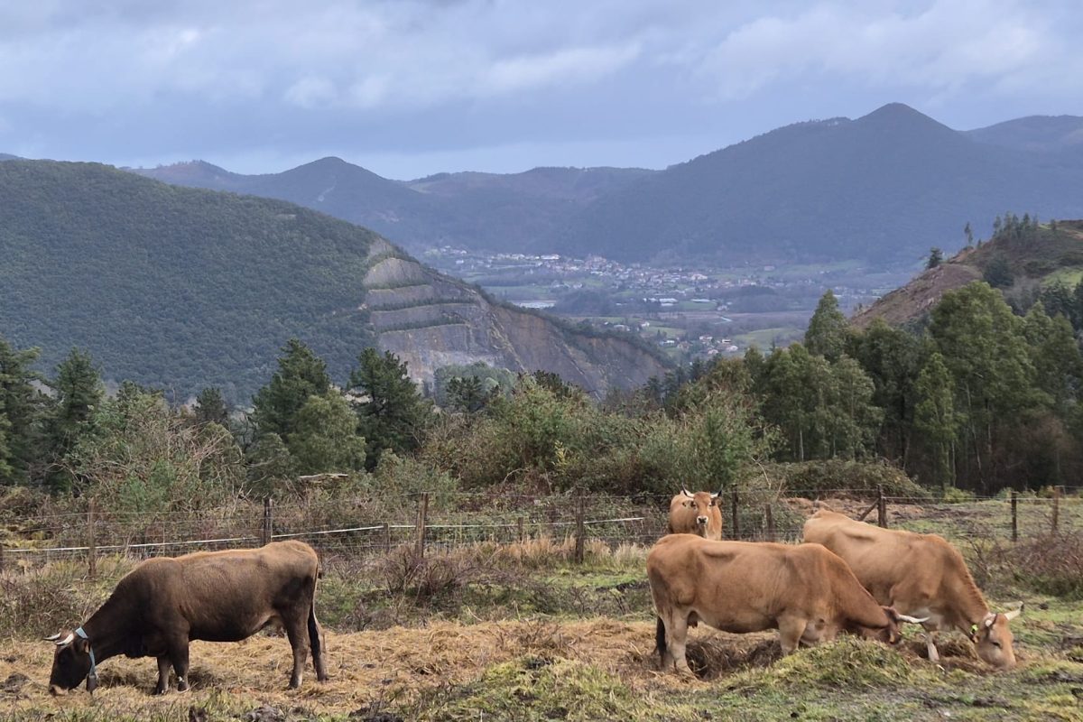 PHOTO-2026-02-08-13-54-03(3)