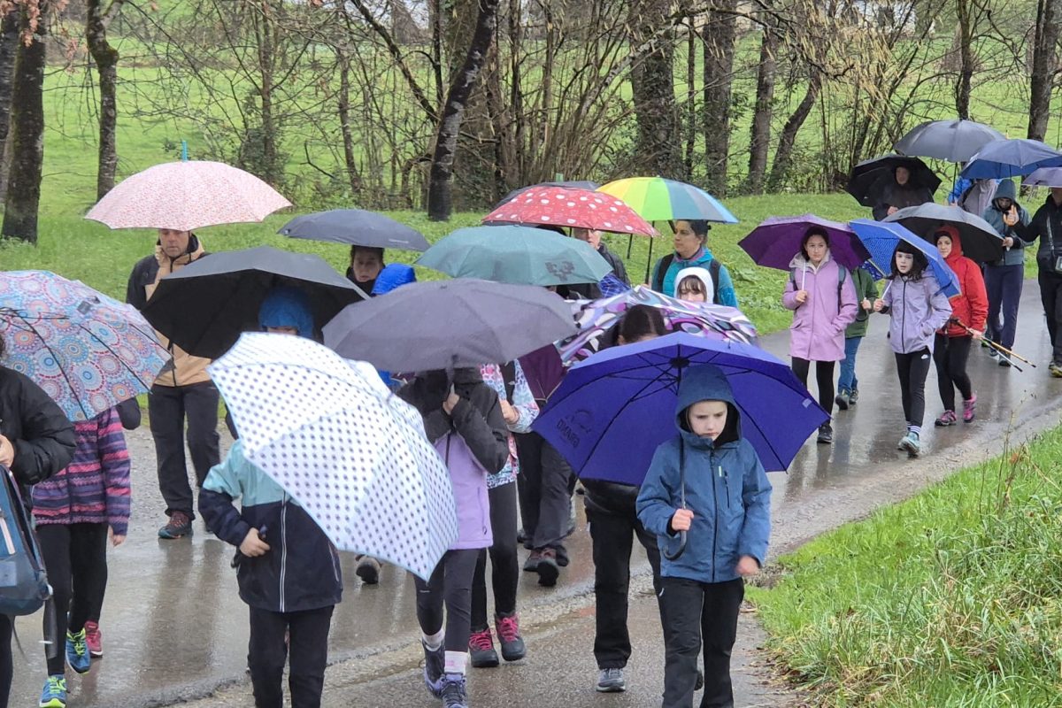 PHOTO-2026-02-08-13-54-05(2)