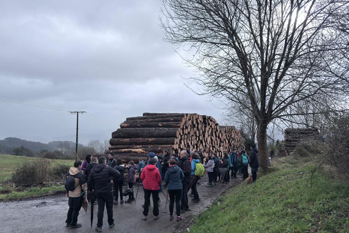 PHOTO-2026-02-08-17-04-04