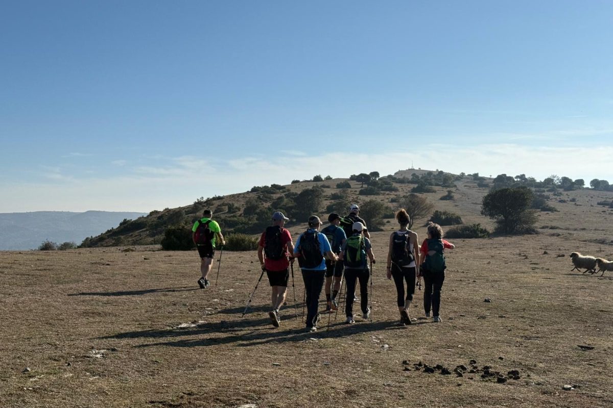 b44672ed-c2d5-4661-a3b9-6a1d6dc05e94