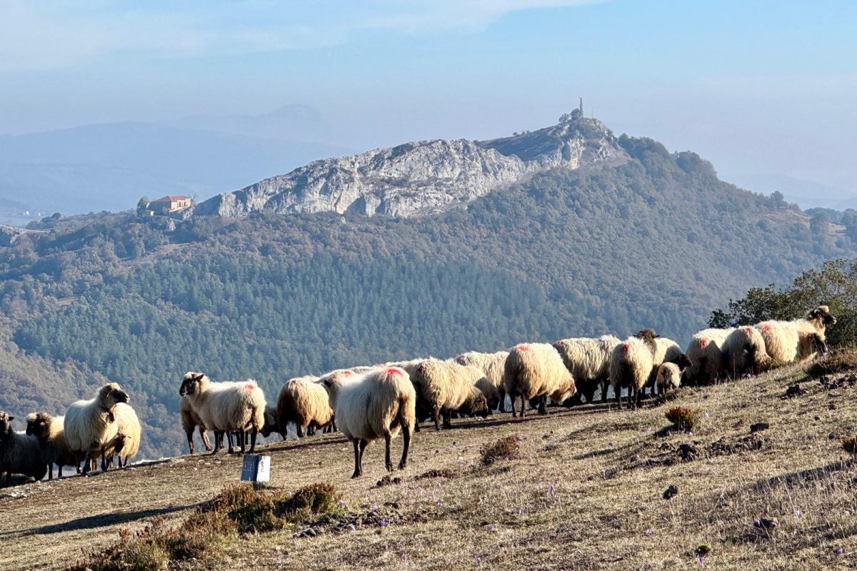 c2797f59-cb67-499a-81d2-b21416f65f43