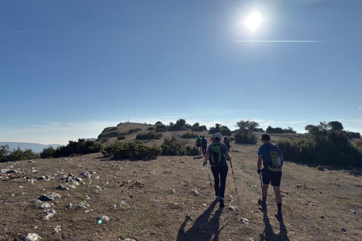 dc015282-4938-41c6-9cac-7e3028d3039c