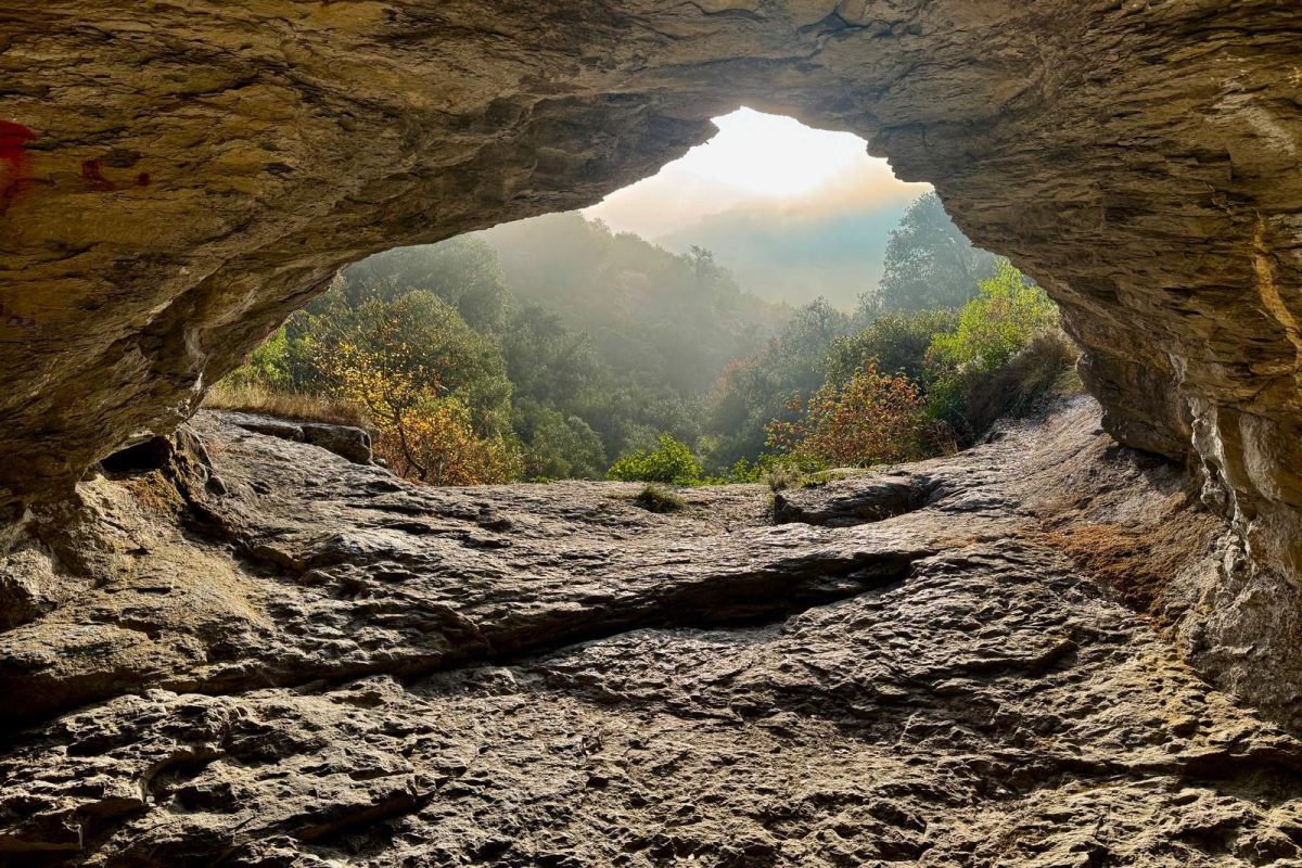 f3578f01-a033-434d-a2ab-da716cd5d4dc